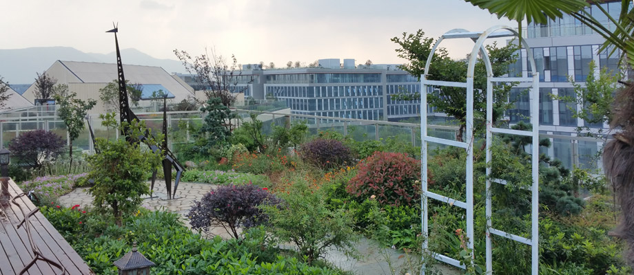 南京萬(wàn)通城市建設(shè)設(shè)計(jì)院弱電系統(tǒng)項(xiàng)目案例。